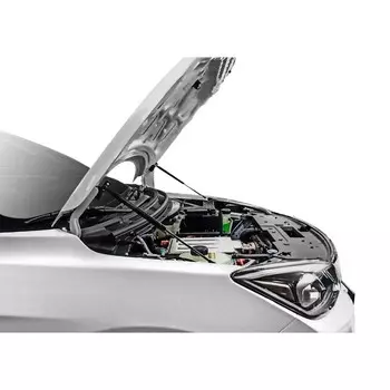 Газовые упоры капота Rival для Evolute i-Pro 2022-н.в, 2 шт