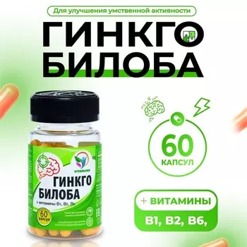 Гинкго Билоба Ангио, для памяти и внимания, 60 капсул по 500 мг