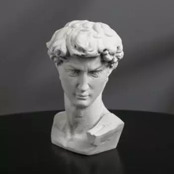 Гипсовая фигура "Голова Давида" 8 х 12,5, серая