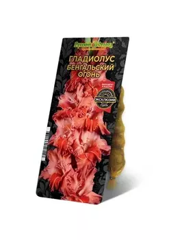 Гладиолус Бенгальский Огонь , р-р 10/12, 5 шт, Весна 2025