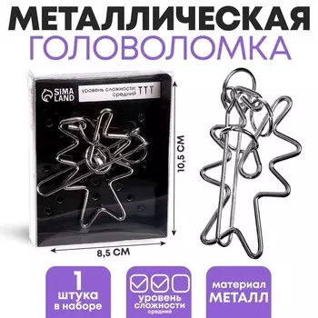 Головоломка металлическая «Раздели на части» №11