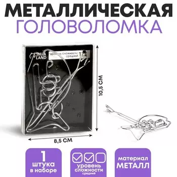 Головоломка металлическая «Раздели на части» №25