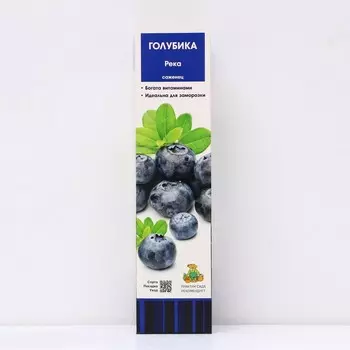 Голубика высокорослая «Река», саженец, 1 шт., туба
