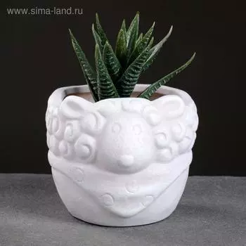 Горшок "Овечка" 8*8см
