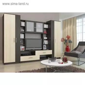 Гостиная Берта-1 2700х556х1900 венге/Дуб белфорт