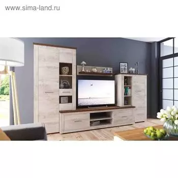 Гостиная «Мэдисон», 3200 450 2000 мм, цвет дуб эндгрейн / дуб экспрессив бронзовый