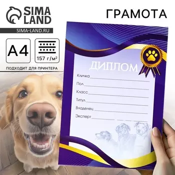 Грамота А4 «Выставка собак»