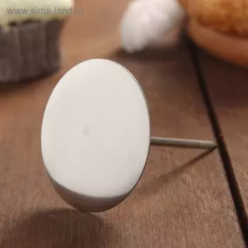 Гвоздь кондитерский, d=5 см, h=7 см, серебристый