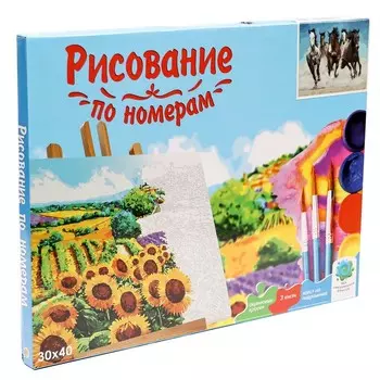 Холст с красками 30 40 см «Скачущие лошади»