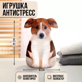 Игрушка антистресс "Джек"