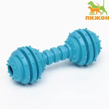 Игрушка жевательная «Чемпион», TPR, 12.5 см, голубая