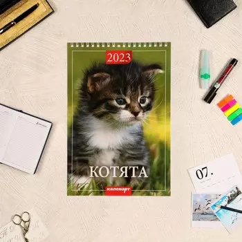 Календарь на пружине "Котята" 2023 год, 17х25 см