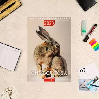 Календарь на пружине "Символ года. Вид 3" 2023 год, 17х25 см