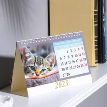 Календарь настольный, домик "Котята" 2023 год, 20х14см