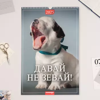 Календарь перекидной на ригеле А3 "Давай не зевай" 2025 год, 32 х 48 см