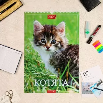 Календарь перекидной на ригеле "Котята" 2023 год, 32х48см
