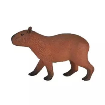 Капибара