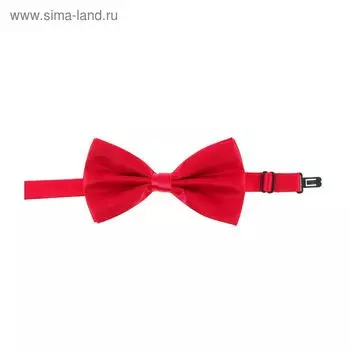 Карнавальная бабочка, малиновая