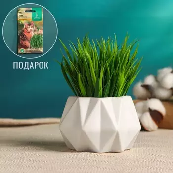 Кашпо для цветов «С любовью», 10107 см, керамика, белое