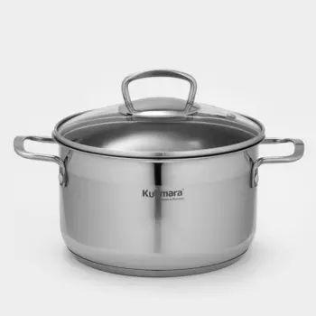 Кастрюля из нержавеющей стали ORION, 3.5 л, d=20 см, стеклянная крышка, капсульное дно, индукция
