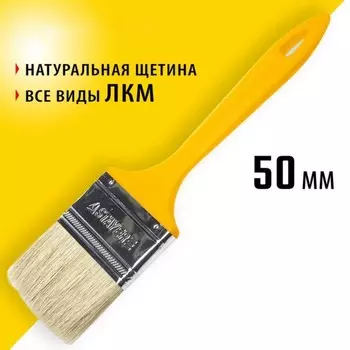 Кисть плоская STAYER UNIVERSAL, натуральная щетина, пластмассовая ручка, 50 мм, 2"