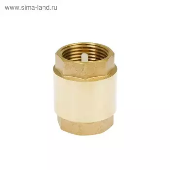 Клапан обратный «СТМ», 1"