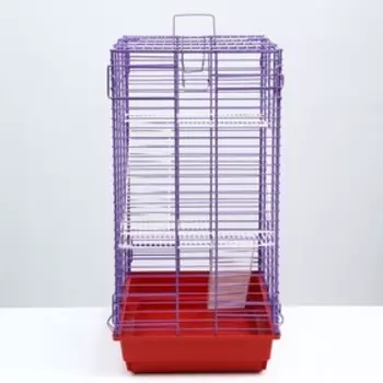 Клетка для шиншилл и хорьков (металлические полки), 60 х 40 х 80 см микс цветов