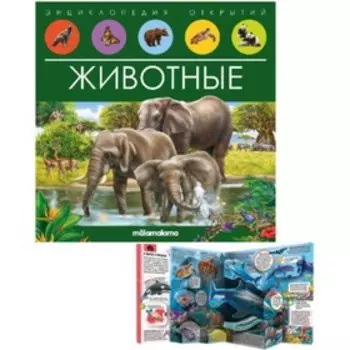 Книжка-панорамка. Животные