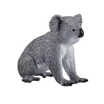 Коала