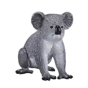 Коала