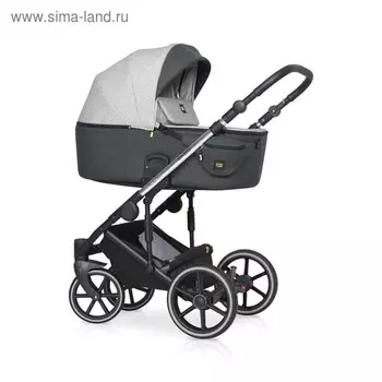 Коляска 2 в 1 Expander Exeo, цвет 01 silver