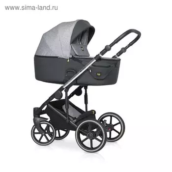 Коляска 2 в 1 Expander Exeo, цвет 05 carbon