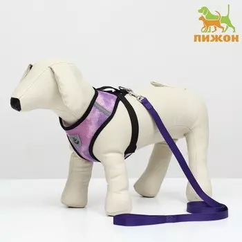 Комплект для собак 3-5 кг, размер S, поводок 1201.5 см, ОШ 24 см, ОГ 34 см