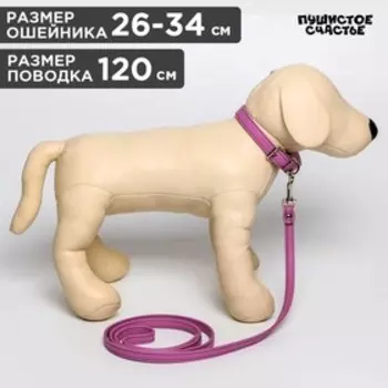 Комплект ошейник (26-34х1.4 см) и поводок (120х1 см) из экокожи, сиреневый