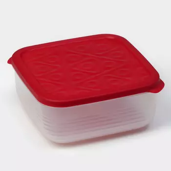 Контейнер пластиковый с крышкой Flexo, 2,7 л, прозрачный, крышка красная