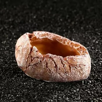 Кормушка для террариума, 12 х 8,5 х 5,5 см