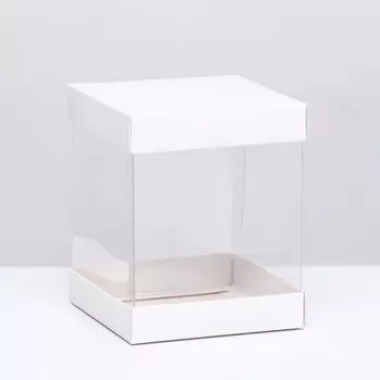 Коробка с PVC Мини 101012 см «Белый»