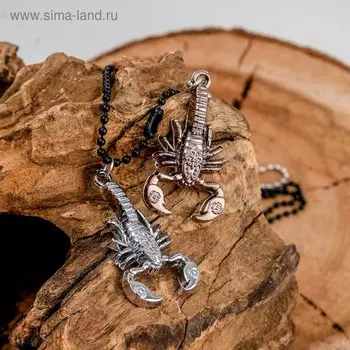 Кулоны парные «Скорпион», 50 см, цвет серебро с чернёным серебром
