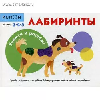 Лабиринты