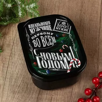 Ланч-бокс «Идеальному мужчине», 500 мл