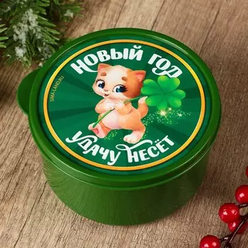 Ланч - бокс новогодний «Новый год удачу несет», 500 мл