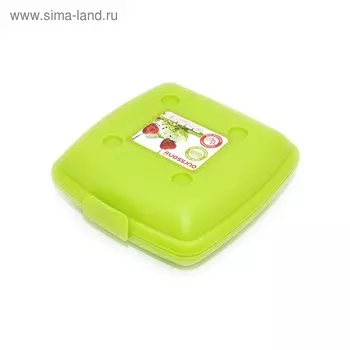 Ланч-бокс Oursson, для сэндвичей, 14.5 14 5.2 см