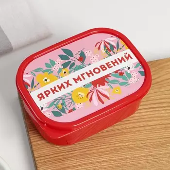 Ланч - бокс прямоугольный «Ярких мгновений», 500 мл