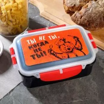Ланч бокс «Ты не ты, когда не ты», 20 х 14 см