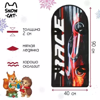 Ледянка, 90 х 40 см, толщина 2 см