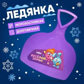 Ледянка «Весёлой зимы», Смешарики
