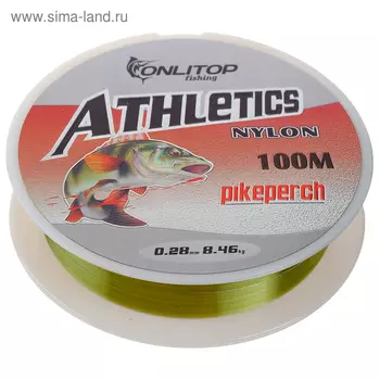 Леска Pike perch, d=0,28 мм, 100 м