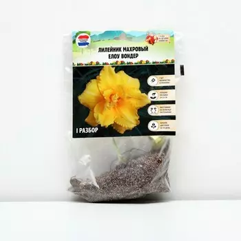Лилейник "Double Yellow Wonder", р-р I, 1 шт,