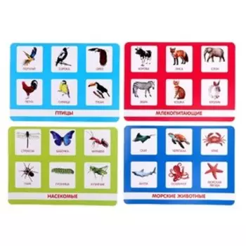 Лото «Мир животных» по методике Г. Домана, 1-4 игрока, 3+