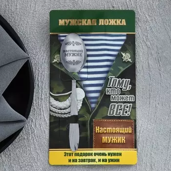 Ложка чайная с гравировкой «Настоящий мужик», на подарочной открытке, 314 см